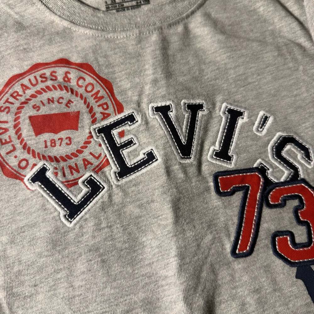 Levi's Toddler Boys 73 Anchor Graphic Short Sleeve T-Shirt Size 4 XS Grey